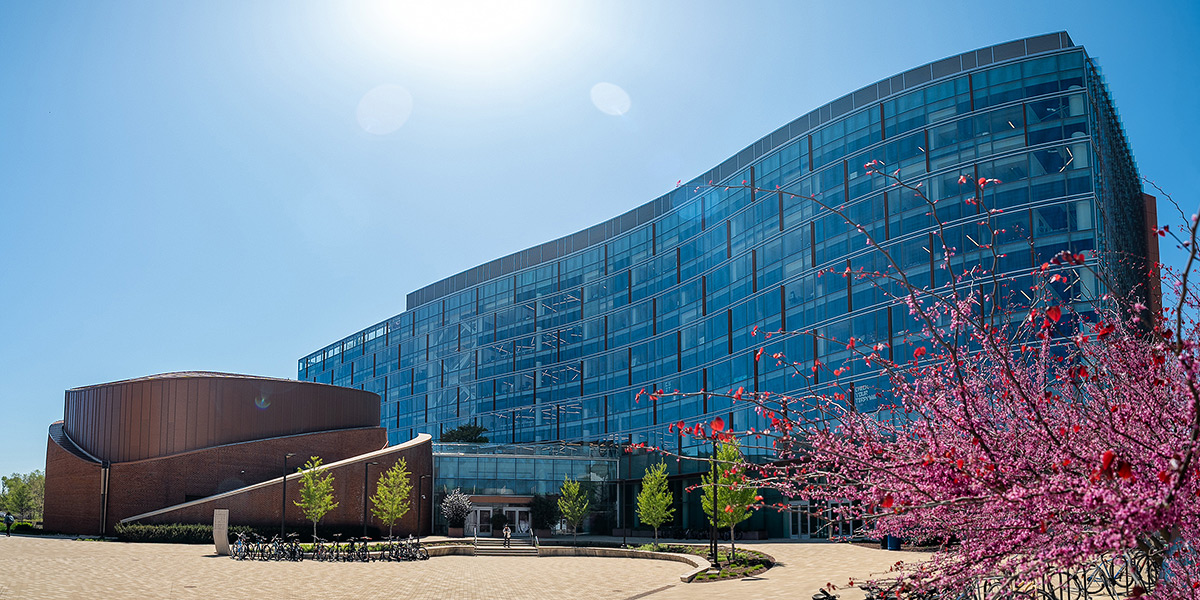 The Iribe Center on a sunny day with its plaza and a flowring bush in the foreground. Credit: Mark Sherwood.
