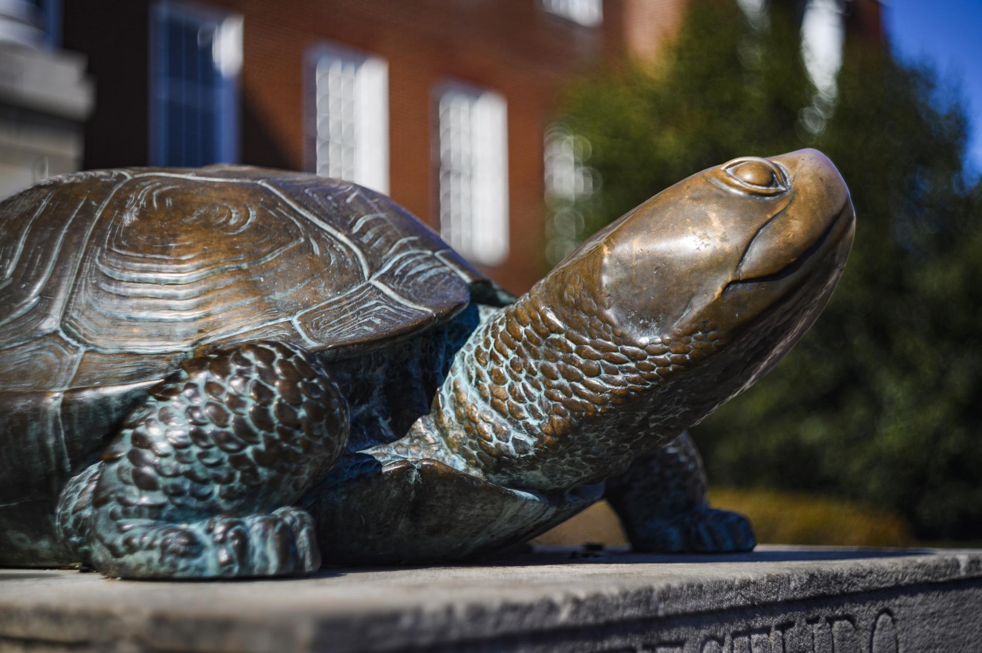 A logo that's a combination of a terrapin and a universal gratitude symbol, animated to simulate shimmering gold.