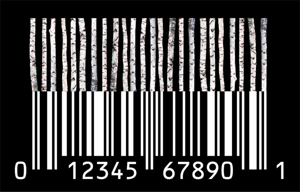 Illustration of a barcode with the top half as bare birch tree trunks