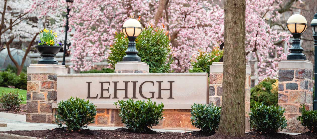 Lehigh stone bench with a lamppost and Magnolia blossoms in the background